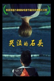 哭泣的石头 Online In Netflix