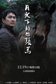 月光下的回頭馬 Online In Netflix