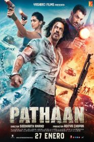 Pathaan Online In Netflix