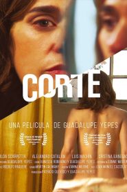 Corte Online In Netflix