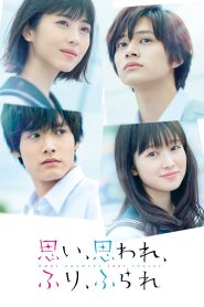 Omoi, Omoware, Furi, Furare Online In Netflix