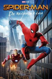Spider-Man: De regreso a casa Online In Netflix