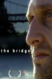 The Bridge Online In Netflix