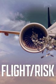 Flight/Risk Online In Netflix