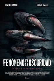 Fenómeno en la oscuridad Online In Netflix