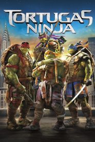 Tortugas Ninja Online In Netflix