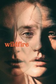 Wildfire Online In Netflix