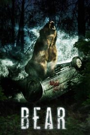 Bear Online In Netflix