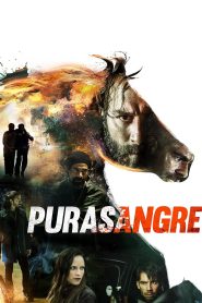Purasangre Online In Netflix
