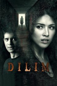 Dilim Online In Netflix