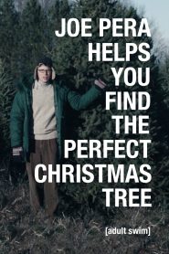 Joe Pera Helps You Find the Perfect Christmas Tree Online In Netflix