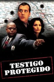 Testigo protegido Online In Netflix
