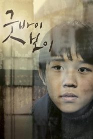 굿바이 보이 Online In Netflix