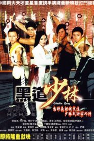 黑道少林 Online In Netflix