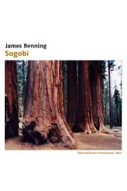 Sogobi Online In Netflix