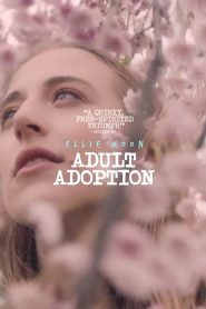 Adult Adoption Online In Netflix