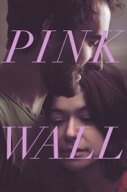 Pink Wall Online In Netflix
