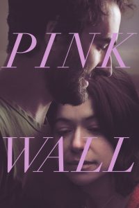 Pink Wall Online In Netflix