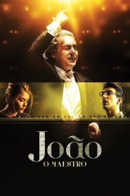 João, o Maestro Online In Netflix