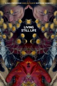 La résurrection des natures mortes (Living Still Life) Online In Netflix
