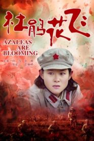 杜鹃花飞 Online In Netflix