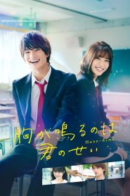 胸が鳴るのは君のせい Online In Netflix