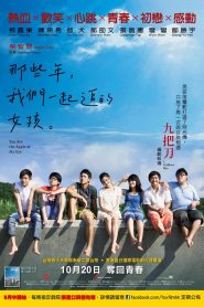 那些年，我們一起追的女孩 Online In Netflix