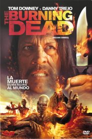Zombis del Volcan Online In Netflix
