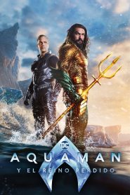 Aquaman y el reino perdido Online In Netflix