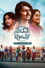ಪದವಿ ಪೂರ್ವ Online In Netflix