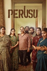 பெருசு Online In Netflix