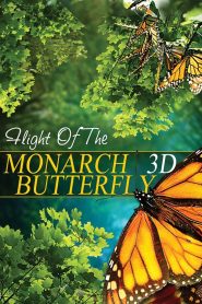 The Incredible Journey of the Monarch Butterfly Online In Netflix