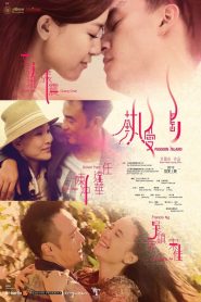热爱岛 Online In Netflix