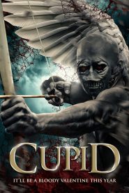 Cupid Online In Netflix