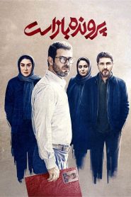 پرونده باز است Online In Netflix