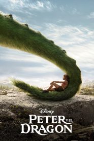 Mi amigo el dragón Online In Netflix
