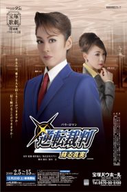 逆転裁判 −蘇る真実− Online In Netflix