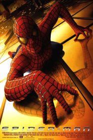 El hombre araña Online In Netflix