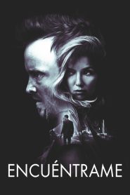 Encuéntrame Online In Netflix