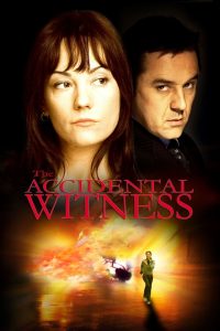 The Accidental Witness Online In Netflix