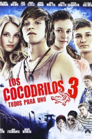 Vorstadtkrokodile 3 Online In Netflix