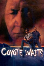 Coyote Waits Online In Netflix