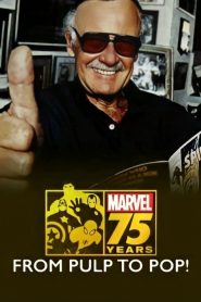 Marvel: 75 Years, from Pulp to Pop! Online In Netflix