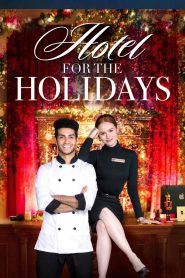 Hotel for the Holidays Online In Netflix