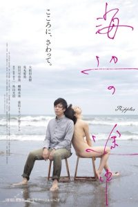 海辺の途中 Online In Netflix