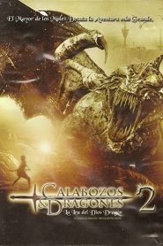Calabozos y Dragones 2: La ira del Dios Dragon Online In Netflix