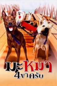 มะหมา 4 ขาครับ Online In Netflix