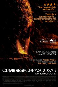 Cumbres borrascosas Online In Netflix