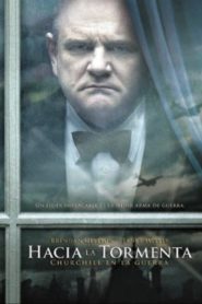 En la Tormenta Online In Netflix