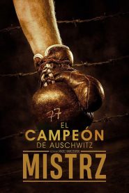 Mistrz Online In Netflix